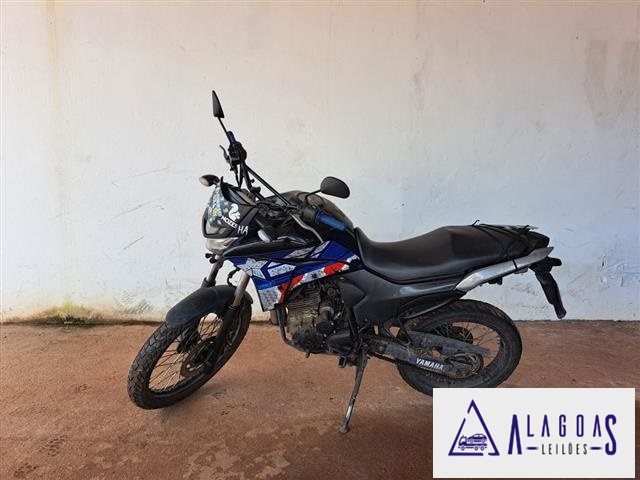 XTZ250 LANDER 20192020<br><br>