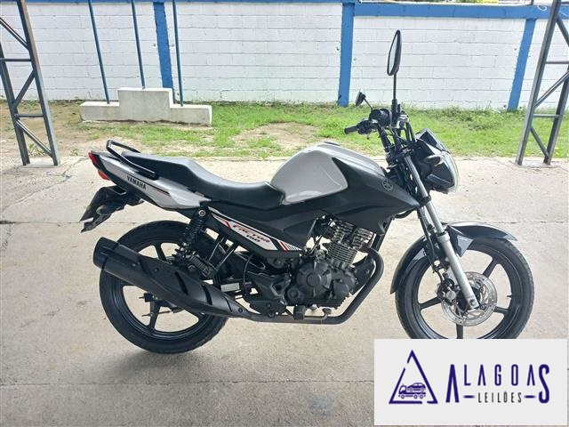 YBR150 FACTOR ED 20232023<br><br>